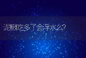 高效大棚黄鳝养殖技术要点