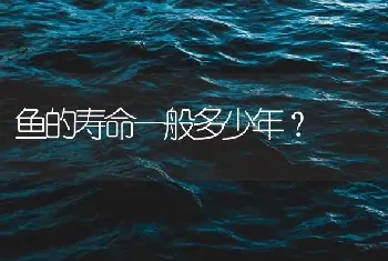 鱼的寿命一般多少年？