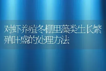 对虾养殖冬棚里藻类生长繁殖旺盛的处理方法