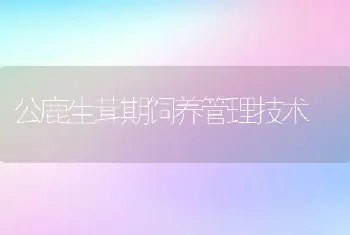 公鹿生茸期饲养管理技术