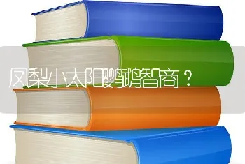 凤梨小太阳鹦鹉智商？