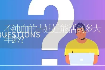 不纯血的吉娃娃能活到多大年龄？