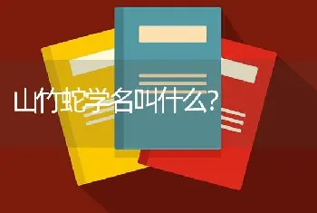 山竹蛇学名叫什么？