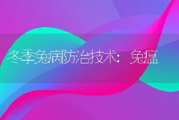 冬季兔病防治技术:兔瘟