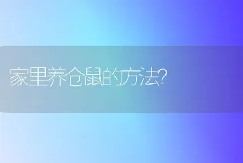 家里养仓鼠的方法？