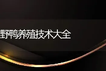 野鸭养殖技术大全