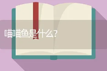 喵喵鱼是什么？