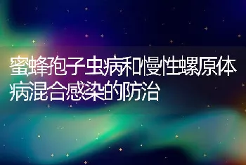 蜜蜂孢子虫病和慢性螺原体病混合感染的防治