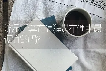 流星手套布偶猫是布偶中最便宜的吗？