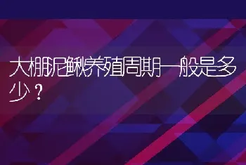 大棚泥鳅养殖周期一般是多少？