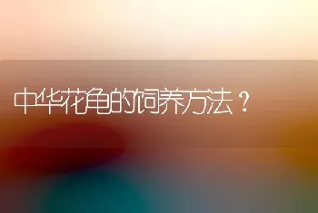 中华花龟的饲养方法？