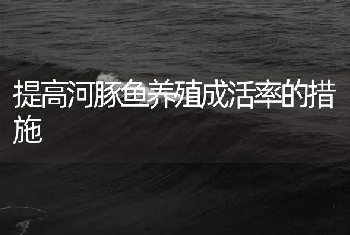 提高河豚鱼养殖成活率的措施