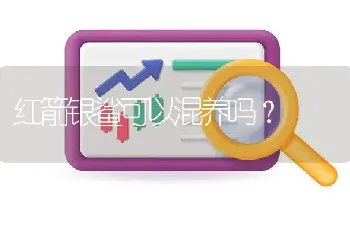 红箭银鲨可以混养吗？