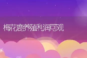 梅花鹿养殖利润可观