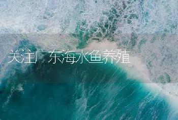 关注广东海水鱼养殖