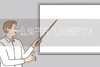 为什么兔子养几天就死了？