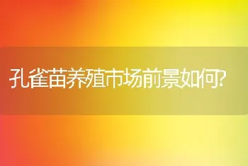 孔雀苗养殖市场前景如何?