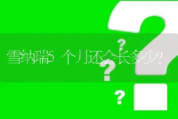 雪纳瑞5个月还会长多少？