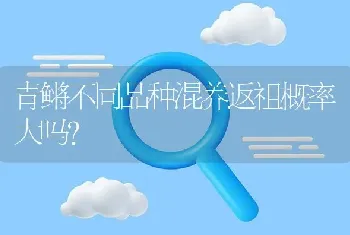 青鳉不同品种混养返祖概率大吗？