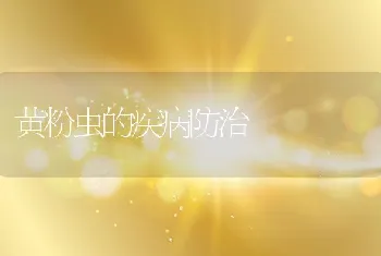 八月份大闸蟹养殖进入冲刺阶段养殖户需加强管理