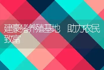 建豪猪养殖基地 助力农民致富