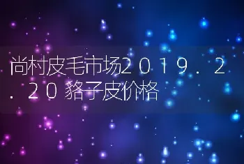 尚村皮毛市场2019.2.20貉子皮价格