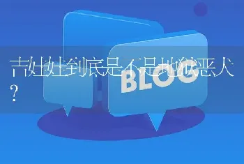 吉娃娃到底是不是地狱恶犬？