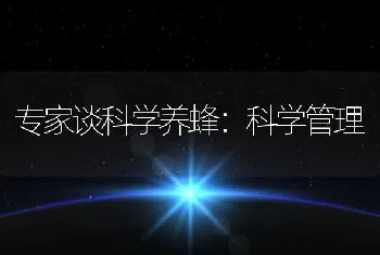 专家谈科学养蜂：科学管理