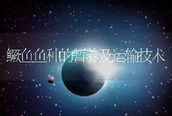 鳜鱼鱼种的暂养及运输技术