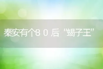 秦安有个80后“蝎子王”