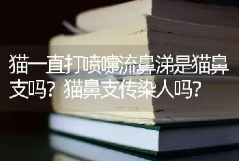 猫一直打喷嚏流鼻涕是猫鼻支吗？猫鼻支传染人吗？