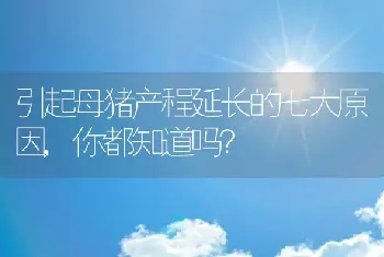 引起母猪产程延长的七大原因,你都知道吗？