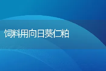 饲料用向日葵仁粕