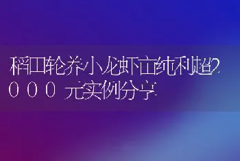 稻田轮养小龙虾亩纯利超2000元实例分享