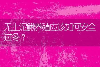 无土泥鳅养殖应该如何安全过冬？