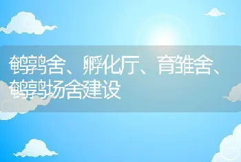 鹌鹑舍、孵化厅、育雏舍、鹌鹑场舍建设