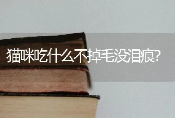 狗狗没精神，喘粗气，走几步就趴下，喝很多水，怎么回事？