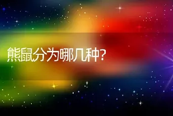 熊鼠分为哪几种？