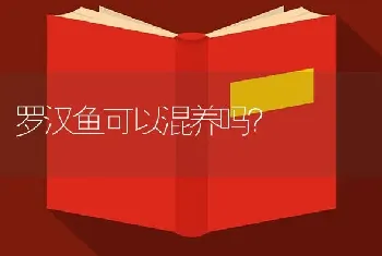 罗汉鱼可以混养吗？