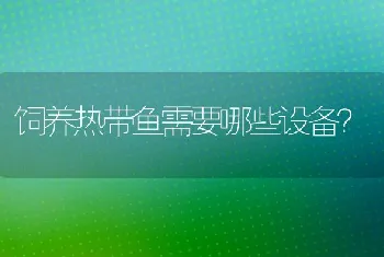 饲养热带鱼需要哪些设备？