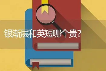 银渐层和英短哪个贵？