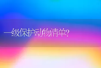 博美不睡笼子怎么办？