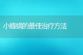 小蜂螨的最佳治疗方法