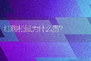 狗狗得了肠胃炎，一直不吃饭只喝水，请问几天不吃饭会死亡？