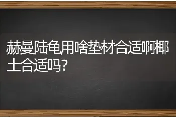 赫曼陆龟用啥垫材合适啊椰土合适吗？