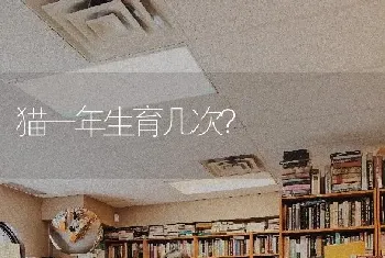 猫一年生育几次？