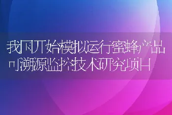 我国开始模拟运行蜜蜂产品可溯源监控技术研究项目