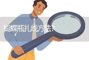 蝴蝶瓶扎线方法？