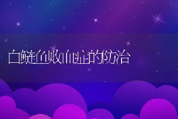 白鲢鱼败血症的防治