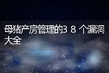 母猪产房管理的38个漏洞大全